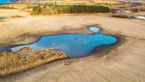 Wiosenne zbiorowiska ptaków, luty 2023 r. - zdjęcie 7