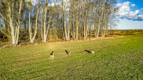 Wczesne przedwiośnie na Mazurach, luty 2023 r. - zdjęcie 25