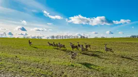 Wczesne przedwiośnie na Mazurach, luty 2023 r. - zdjęcie 27