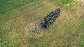 Wczesne przedwiośnie na Mazurach, luty 2023 r. - zdjęcie 56