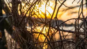 Zachód słońca nad jeziorem Siercze, luty 2023 - zdjęcie 37