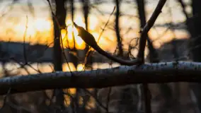 Zachód słońca nad jeziorem Siercze, luty 2023 - zdjęcie 34