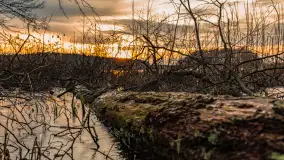 Zachód słońca nad jeziorem Siercze, luty 2023 - zdjęcie 36