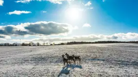 Niedzielne popołudnie widziane z drona, Ryn i okolice - zdjęcie 22