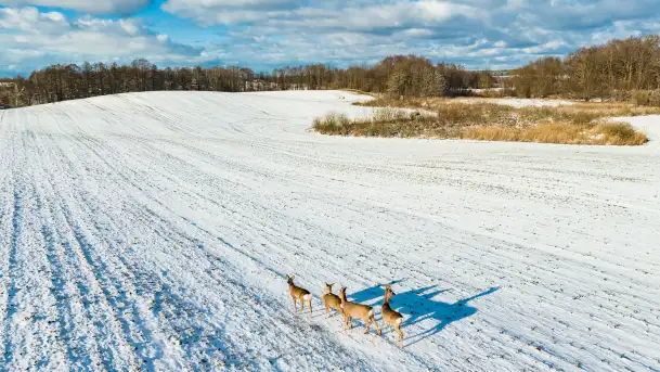 Niedzielne popołudnie widziane z drona, Ryn i okolice - zdjęcie 9