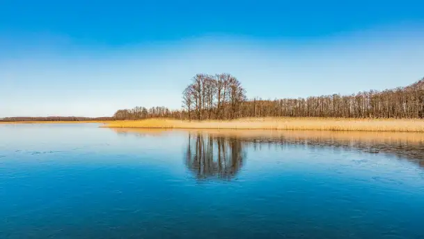 Słonecznie i zimowo przy moście Sztynorckim - zdjęcie 11