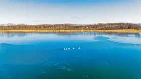 Słonecznie i zimowo przy moście Sztynorckim - zdjęcie 38