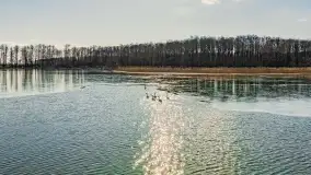 Słonecznie i zimowo przy moście Sztynorckim - zdjęcie 15