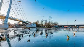 Jak wyglądają Mikołajki pod koniec zimy? Ano tak. - zdjęcie 1