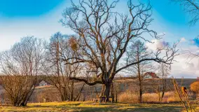 Zachód słońca nad jeziorem Gołdopiwo, marzec 2023 r. - zdjęcie 36