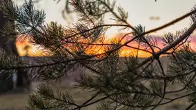 Zachód słońca nad jeziorem Gołdopiwo, marzec 2023 r. - zdjęcie 41