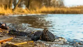 Zachód słońca nad Niegocinem widoczny z dzikiej plaży - zdjęcie 30