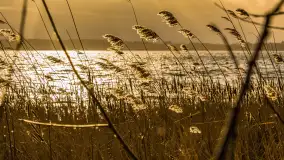 Zachód słońca nad Niegocinem widoczny z dzikiej plaży - zdjęcie 36