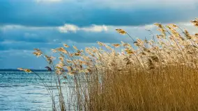 Zachód słońca nad Niegocinem widoczny z dzikiej plaży - zdjęcie 8