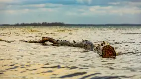 Zachód słońca nad Niegocinem widoczny z dzikiej plaży - zdjęcie 46