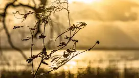 Zachód słońca nad Niegocinem widoczny z dzikiej plaży - zdjęcie 50