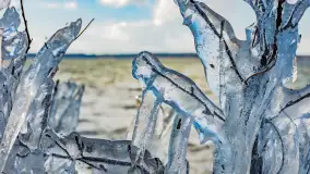 Południowy brzeg jeziora Negocin, lodowe formy, marzec 2023 - zdjęcie 20