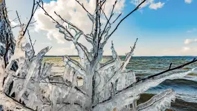 Południowy brzeg jeziora Negocin, lodowe formy, marzec 2023 - zdjęcie 8