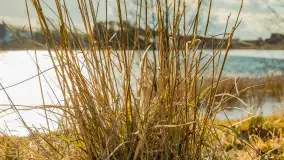 Grodzisko Św. Góra, jezioro Wojnowo, marzec 2023 r. - zdjęcie 31