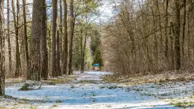 Wyspa Wydmińska i jezioro Wydmińskie, końcówka zimy 2023 r. - zdjęcie 36