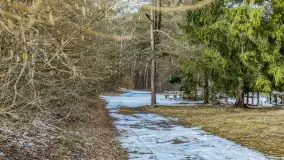 Wyspa Wydmińska i jezioro Wydmińskie, końcówka zimy 2023 r. - zdjęcie 7