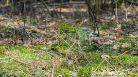 Wyspa Wydmińska i jezioro Wydmińskie, końcówka zimy 2023 r. - zdjęcie 31