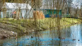 Poszukiwania wiosny w Węgorzewie, marzec 2023 r. - zdjęcie 3