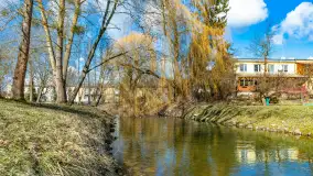 Poszukiwania wiosny w Węgorzewie, marzec 2023 r. - zdjęcie 29