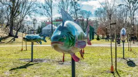 Poszukiwania wiosny w Węgorzewie, marzec 2023 r. - zdjęcie 58