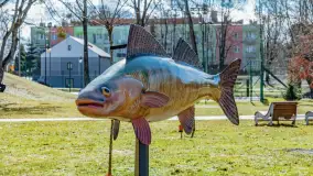 Poszukiwania wiosny w Węgorzewie, marzec 2023 r. - zdjęcie 28