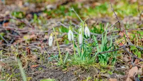 Poszukiwania wiosny w Węgorzewie, marzec 2023 r. - zdjęcie 44