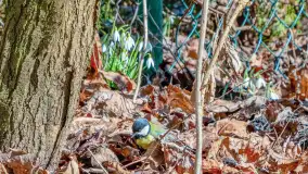 Poszukiwania wiosny w Węgorzewie, marzec 2023 r. - zdjęcie 4