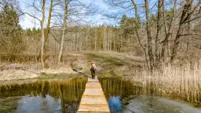 Weekend na dziko nad jeziorem Tyrkło. marzec 2023 r. - zdjęcie 5