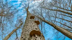 Weekend na dziko nad jeziorem Tyrkło. marzec 2023 r. - zdjęcie 41