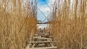 Weekend na dziko nad jeziorem Tyrkło. marzec 2023 r. - zdjęcie 2