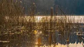 Wschód słońca nad jeziorem Tyrkło, marzec 2023 r. - zdjęcie 5