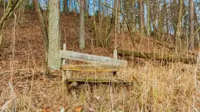 Wschód słońca nad jeziorem Tyrkło, marzec 2023 r. - zdjęcie 47