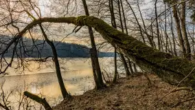 Wschód słońca nad jeziorem Tyrkło, marzec 2023 r. - zdjęcie 11