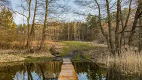 Wschód słońca nad jeziorem Tyrkło, marzec 2023 r. - zdjęcie 49