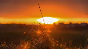 Zachód słońca, z innej perspektywy, marzec 2023 r. - zdjęcie 7