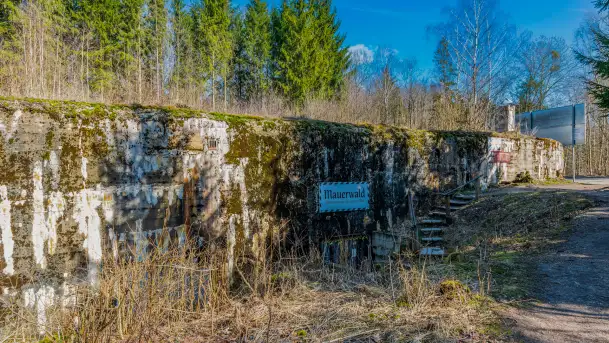 Wiosenny spacer po Mamerkach, marzec 2023 r. - zdjęcie 1