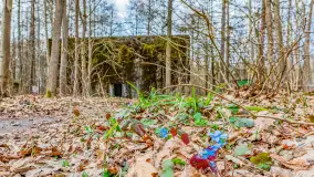 Wiosenny spacer po Mamerkach, marzec 2023 r. - zdjęcie 30