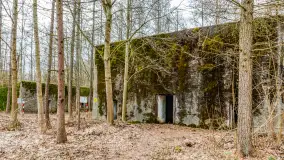 Wiosenny spacer po Mamerkach, marzec 2023 r. - zdjęcie 7