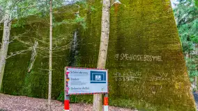 Wiosenny spacer po Mamerkach, marzec 2023 r. - zdjęcie 16