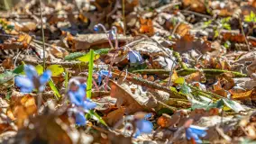 Spacer po parku im. Juliusza Słowackiego w Mrągowie - zdjęcie 13