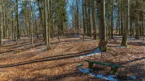 Spacer po parku im. Juliusza Słowackiego w Mrągowie - zdjęcie 2