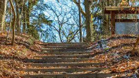 Spacer po parku im. Juliusza Słowackiego w Mrągowie - zdjęcie 23