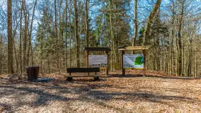 Spacer po parku im. Juliusza Słowackiego w Mrągowie - zdjęcie 7