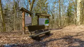 Spacer po parku im. Juliusza Słowackiego w Mrągowie - zdjęcie 4