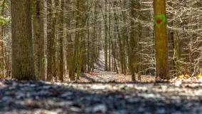 Spacer po parku im. Juliusza Słowackiego w Mrągowie - zdjęcie 11